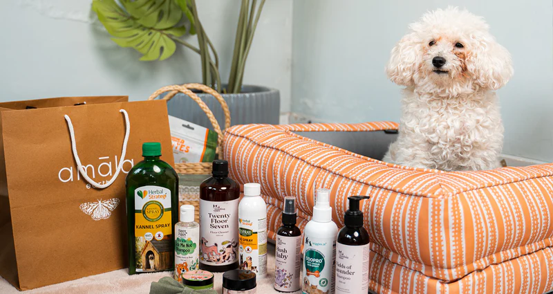 Read more about the article Pet Care Essentials: Products to Keep Your Furry Friends Happy and Healthy